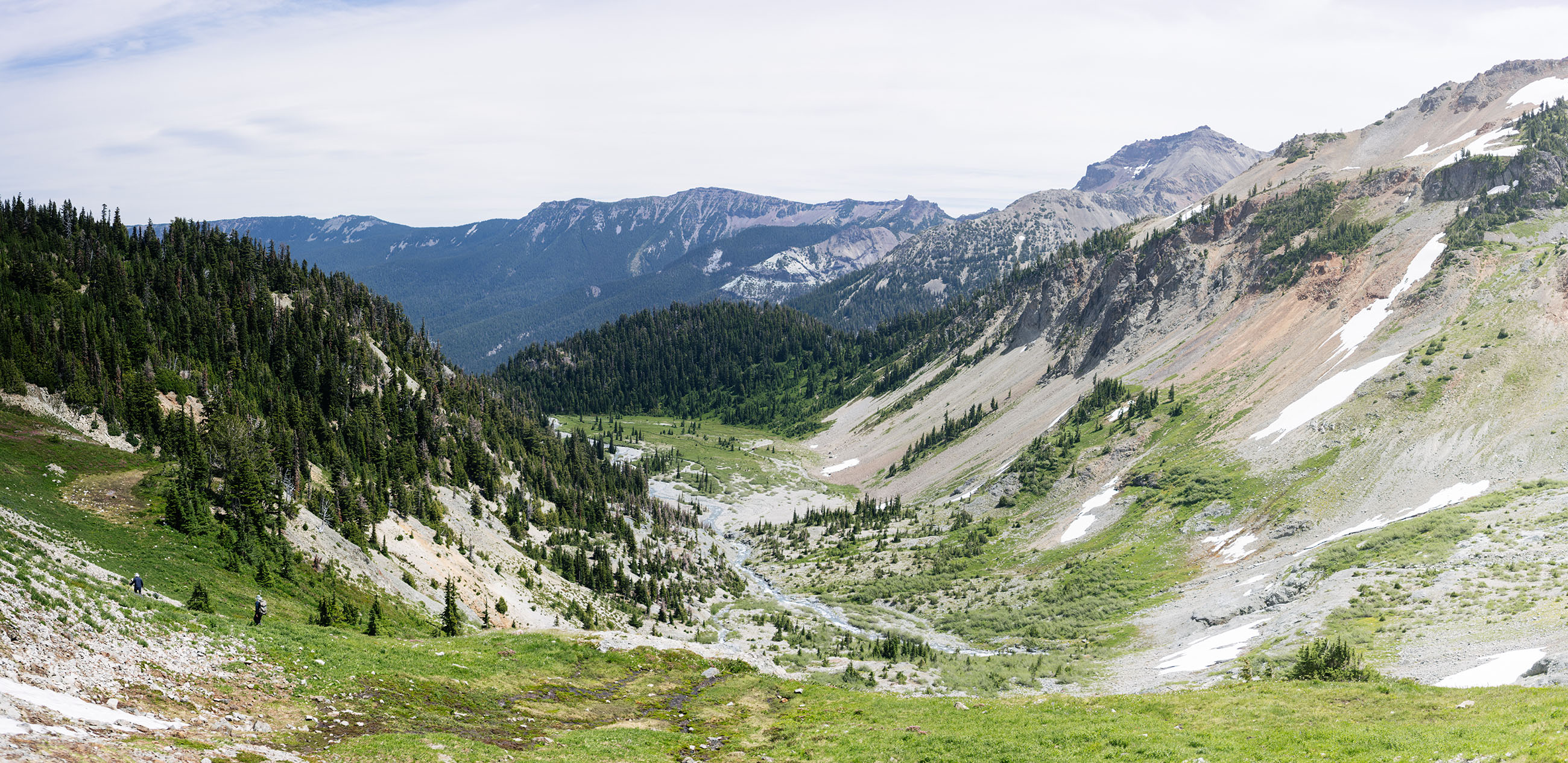 A green valley with rocky spots, trees, and a bit of snow