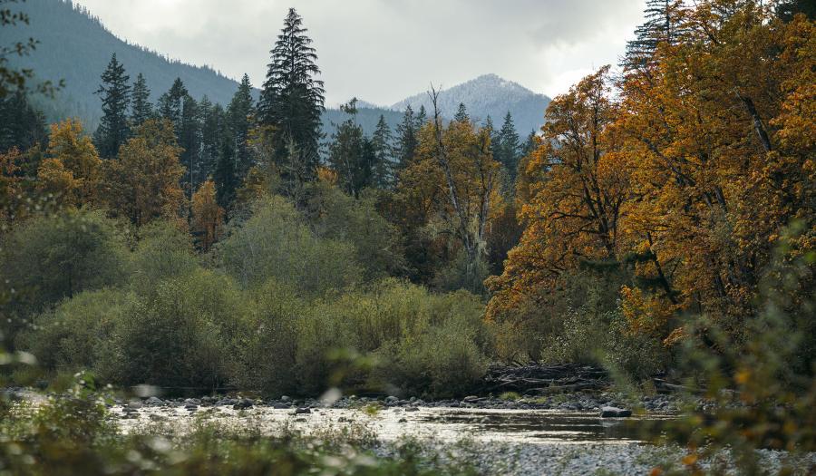 A medium size, shallow mountain river in front of green and orange trees and mountains