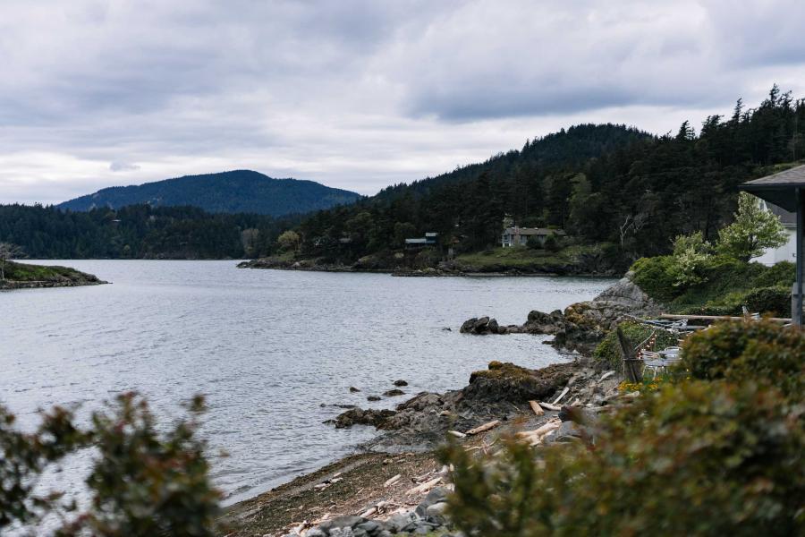 A rocky, pacific northwest beach with lots of trees