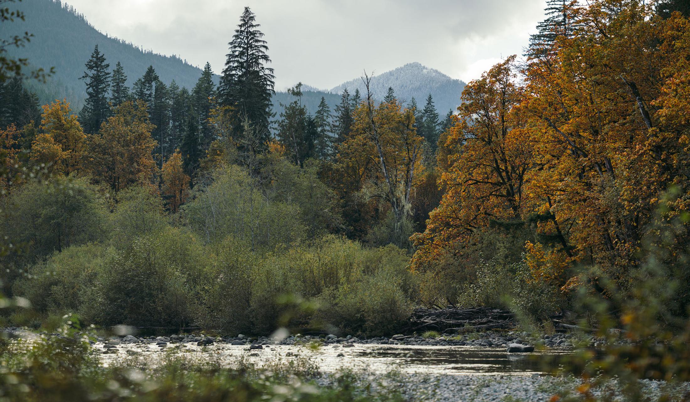 A medium size, shallow mountain river in front of green and orange trees and mountains